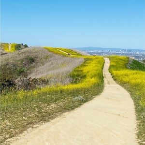 Meet your Posher, Walter